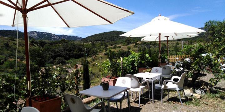 Hotel La Tinensa Puebla de Benifasar ภายนอก รูปภาพ